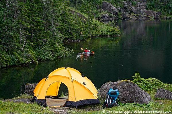 Imagen de la galería 4