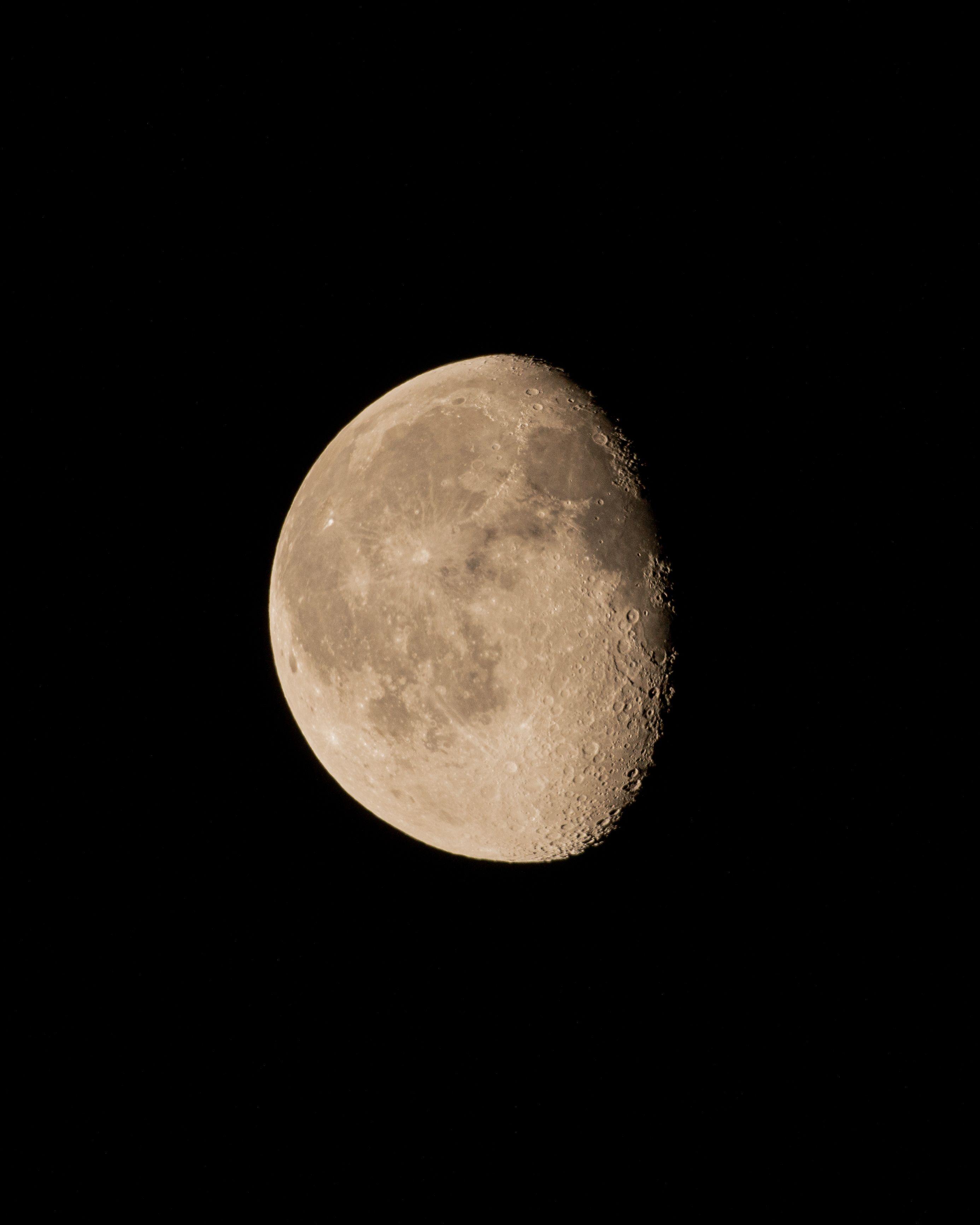 Imagen de la galería 4