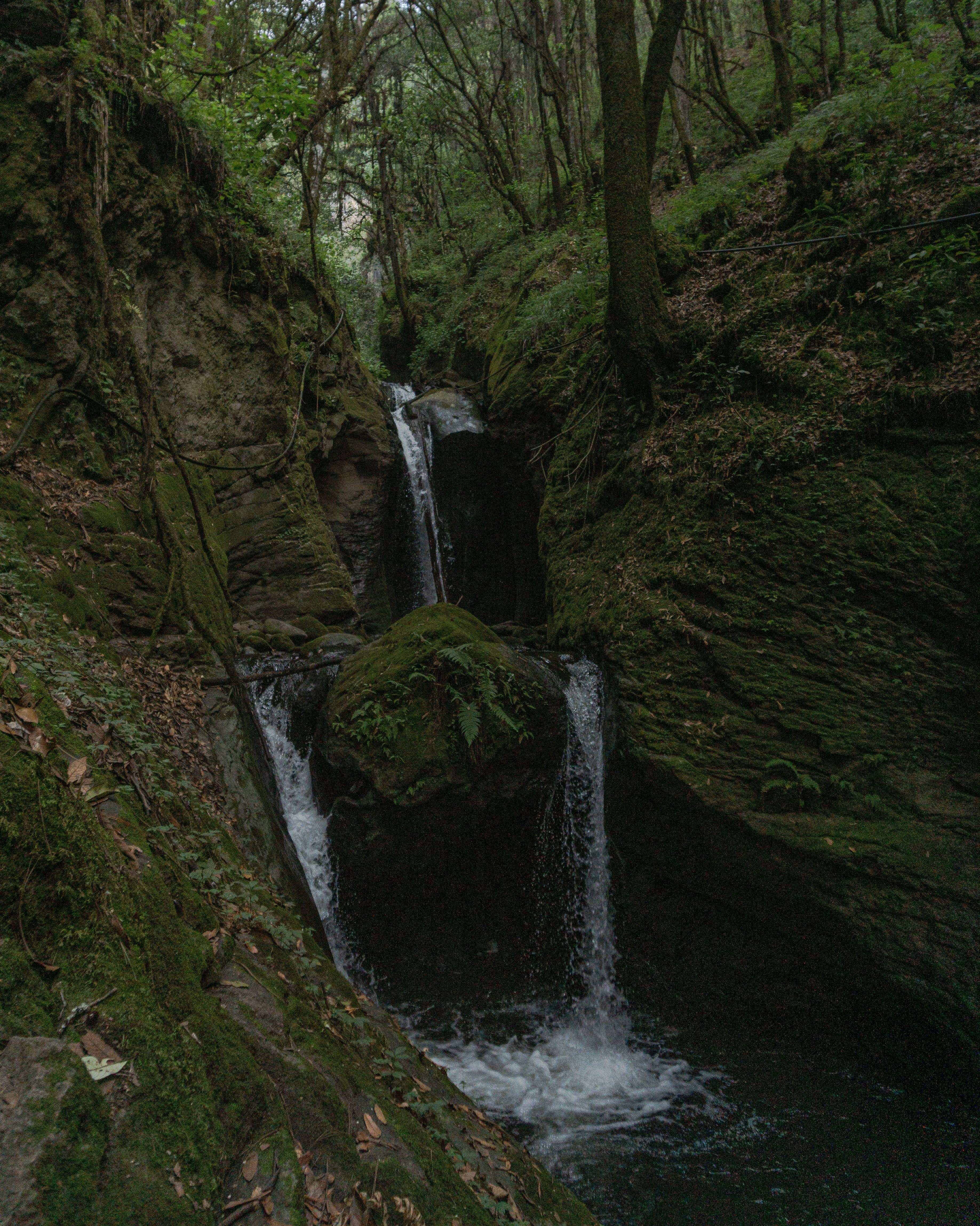 Imagen de la galería 5